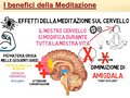 Diapositiva103